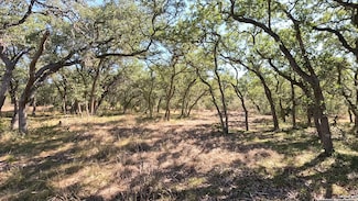 34672 Ansley Ridge Trail, Bulverde, TX 78163