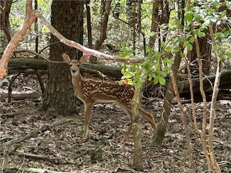 0 Oak Trace E Unit 7622821, Jasper, GA 30143