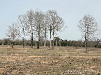 0 County Road 2425 Unit 22866274, Como, TX 75431