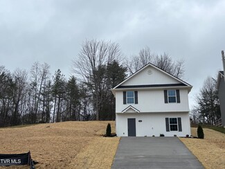 1406 Indian Ridge Rd, Johnson City, TN 37604