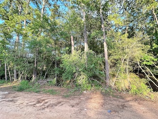 0 Scarlet Oak, Plantersville, TX 77363