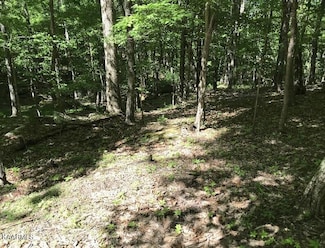 148 Springdale Dr, Crossville, TN 38558