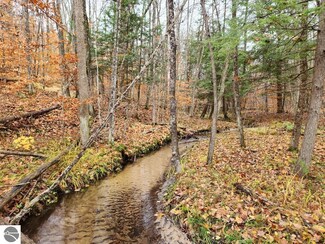 30A Old State Rd, Jordan Township, MI 49727