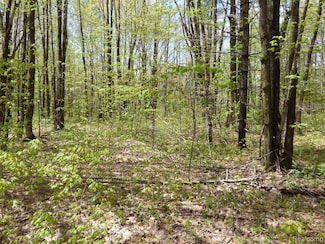 00 Valley Wood Cir, Hayes Township, MI 49730