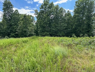 0 County Road 444, Webb Township, MO 63665