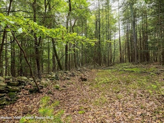 0 Lot 1 Church Rd, Woodstock, NY 12409