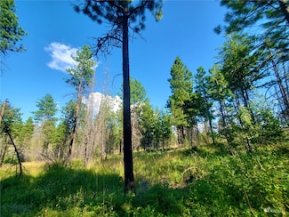 189 Whiterock Rd, Okanogan, WA 98840