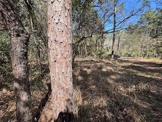LOT 107 Whisperwood Dr, Onalaska, TX 77360