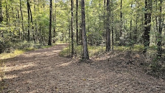 0 Mississippi 35, Vaiden, MS 39176