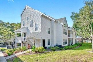 3305 Haviland Ct Unit 103, Palm Harbor, FL 34684