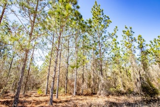 XX2 NE Fire Break 21 Rd, Hosford, FL 32334