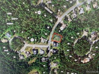 12 Cactus St, Homosassa, FL 34446