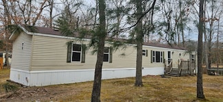 2416 W Wilderness Way, Baldwin, MI 49304