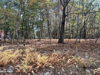 Lot 14 Sandstone Dr, Delaware Township, PA 18328