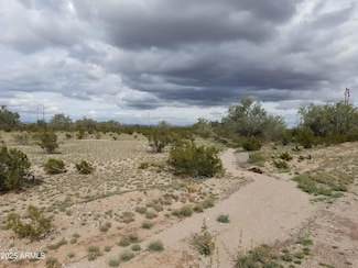 Lot 21 W High Chaparral Ranches Rd Unit 21, Stanfield, AZ 85172