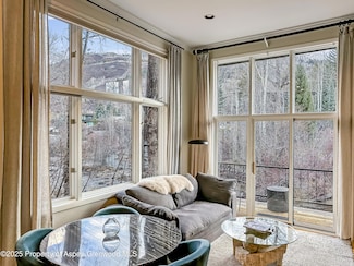 1050 Waters Ave Unit 9, Aspen, CO 81611