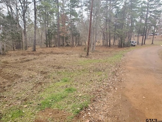 411 County Road 1905 A, Jacksonville, TX 75766