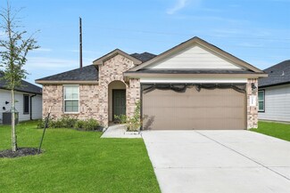 7515 Fierce Friesian Ln, Rosharon, TX 77583