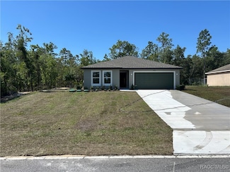 3390 W Hampshire Blvd, Citrus Springs, FL 34433