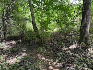 0 Big Piney Loop Unit 23723858, Wilder, TN 38589
