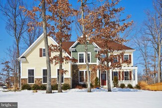14476 Bluff Point Ct, Gainesville, VA 20155
