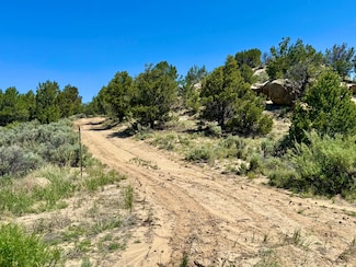 163 Cr 402 Rd, Lindrith, NM 87029