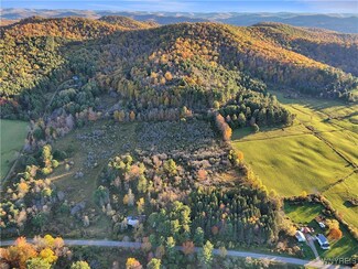 8273 Willow Brook Rd, Little Genesee, NY 14754
