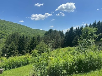 928 S Brookland Rd, Ulysses, PA 16948