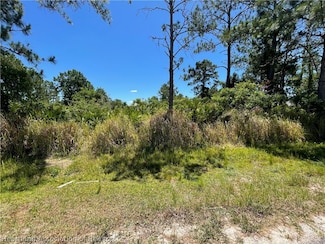 5526 Castania Dr, Sebring, FL 33872