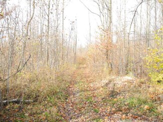 00 Smith St, Dannemora, NY 12920