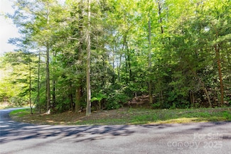 76 Drovers Ln, Fairview, NC 28730