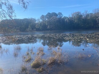 805 Lessie Culpepper Rd, Coffee Springs, AL 36318