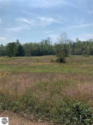 TBD N West County Line Rd, Weidman, MI 48893