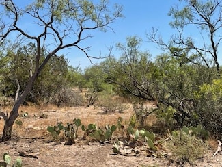 0000 Other, Rocksprings, TX 78880