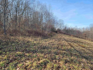 LOT 9 Sand Bank Rd, Masontown, WV 26542