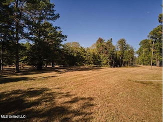 489 Barksdale Rd, Brandon, MS 39047