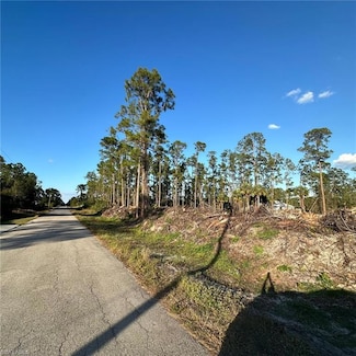 704 Wellington Ave, Lehigh Acres, FL 33972