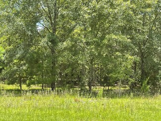 0 Hwy 280 E Unit 22617, Lyons, GA 30436