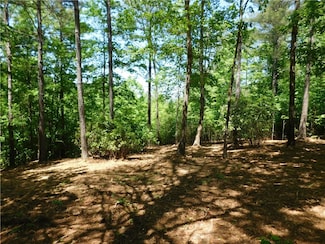 392 Cliffs Pkwy S, Salem, SC 29676