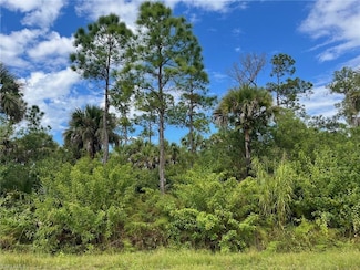 2735 26th Ave SE, Rural Estates, FL 34117