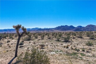 62407 Crestview Dr, Joshua Tree, CA 92252