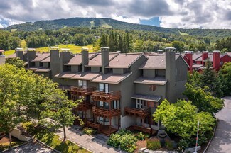34 Mountain Reach Mews Rd, Stratton, VT 05155