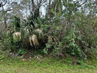 0 NW 61st St Unit R11106082, Ocala, FL 34482