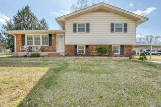 15 Madison Ct, Johnson City, TN 37601
