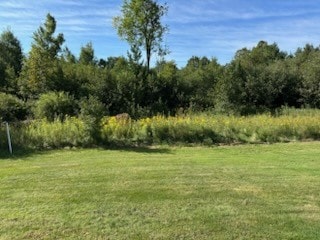 0 300th Ave Unit 1595300, Frederic, WI 54837