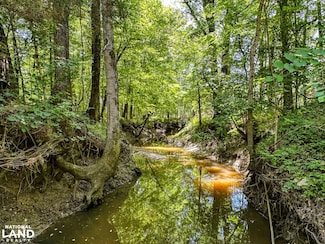 0 Blue Hill Rd, Gordonville, AL 36040