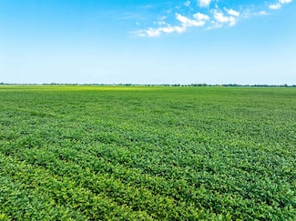 0 Lawrence 737 and 556 Unit 25038347, Alicia, AR 72410