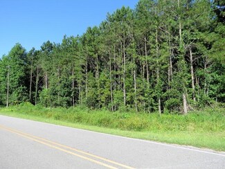 0 Delco Prosper Rd, Ransom, NC 28436