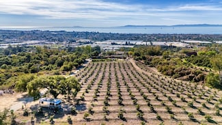 4488 Foothill Rd, Carpinteria, CA 93013