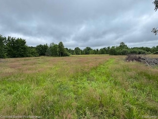 00 Legault Blvd, Ortonville, MI 48462